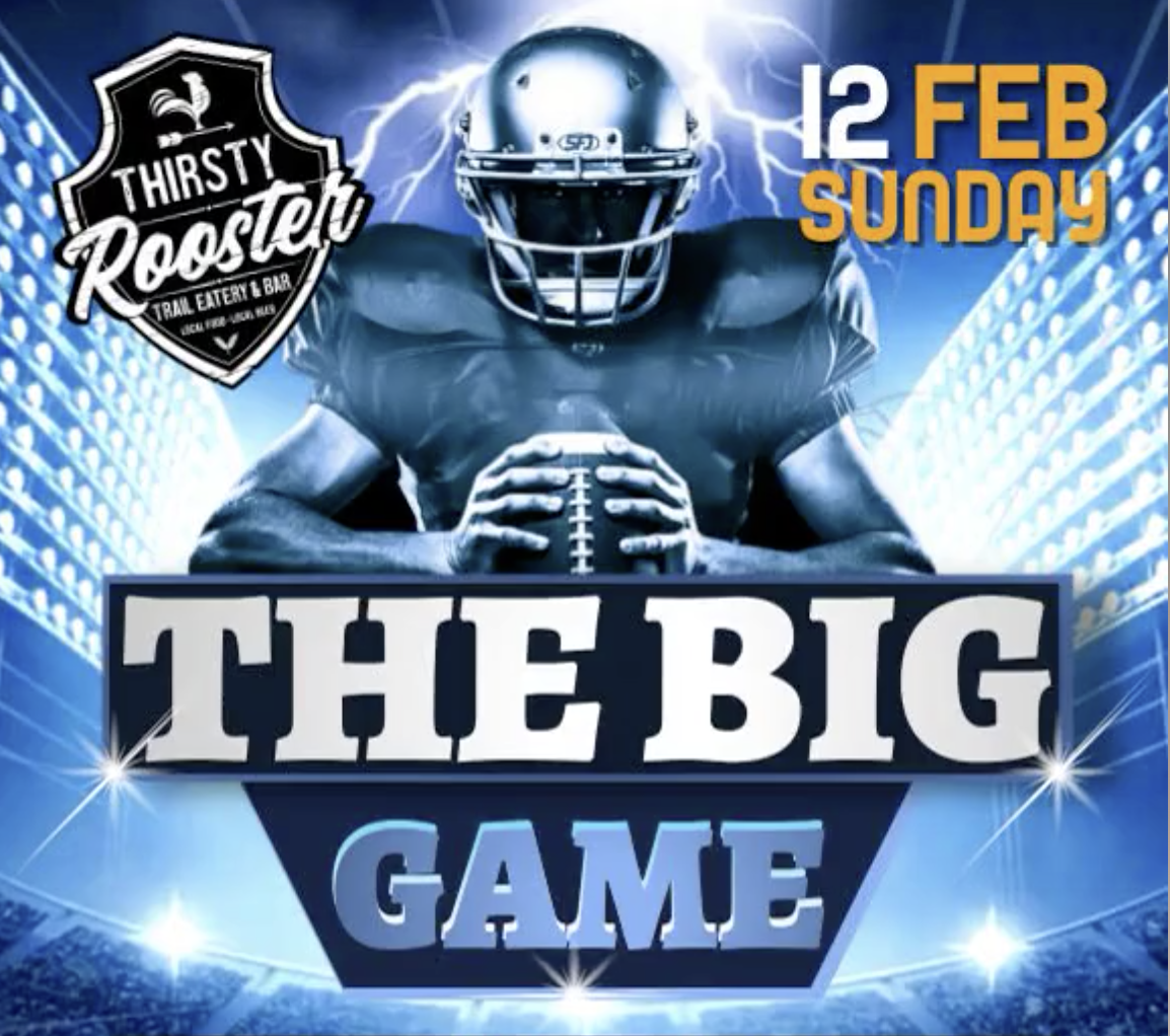 nfl final - the big game